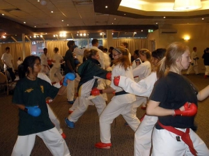 Commonwealth2011 Australia12