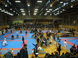 Commonwealth2011 Australia25 