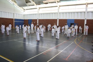 IMG 6178