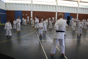 IMG 6184