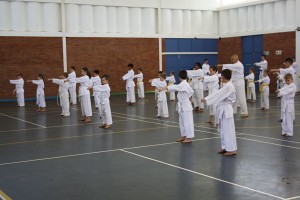 IMG 6186