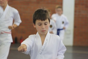 IMG 6222
