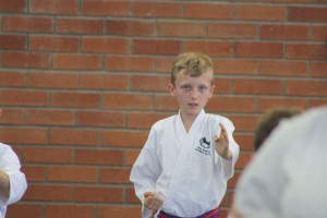 IMG 6231