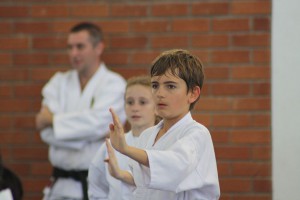 IMG 6248