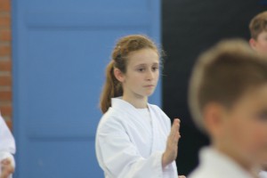 IMG 6317