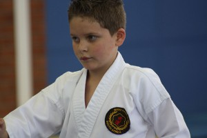 IMG 6329