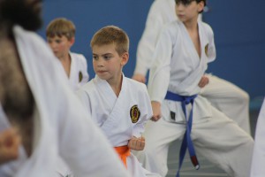 IMG 6334