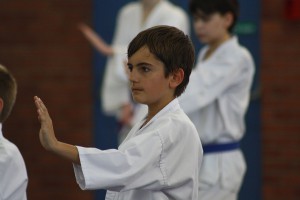 IMG 6358