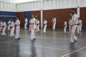 IMG 6360