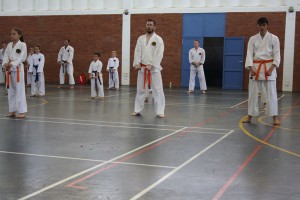 IMG 6361