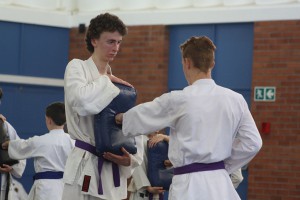 IMG 6379