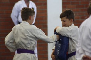 IMG 6386
