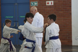 IMG 6391