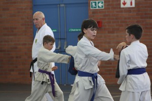 IMG 6392