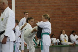 IMG 6399
