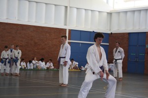 IMG 6418