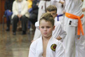 IMG 6631
