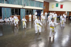 IMG 6644