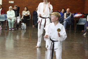 IMG 6699