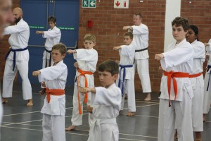 IMG 7219
