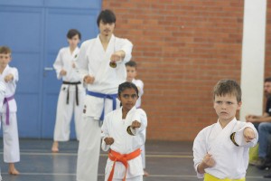 IMG 7222