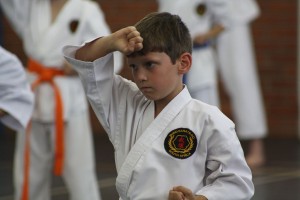 IMG 7225