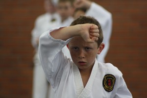 IMG 7227