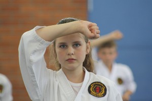 IMG 7228