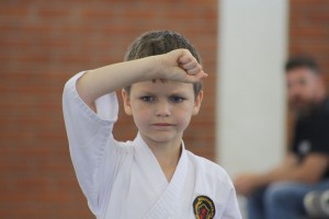 IMG 7229