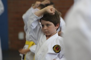 IMG 7230