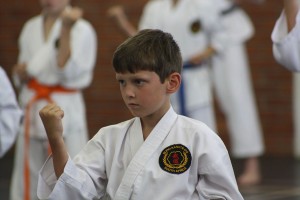 IMG 7231