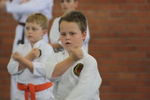 IMG 7233