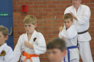 IMG 7239