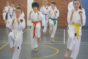 IMG 7242