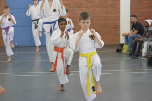 IMG 7243