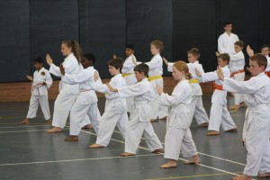 IMG 7245