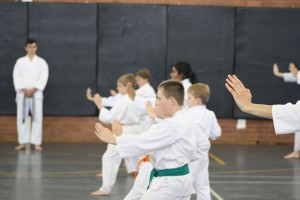 IMG 7247