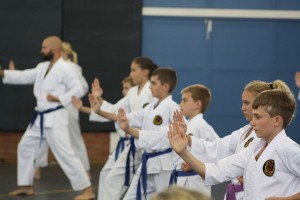 IMG 7248
