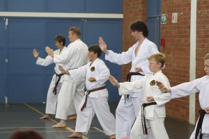 IMG 7249