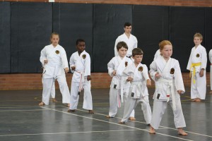 IMG 7251