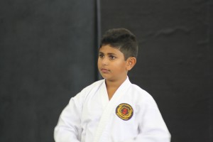IMG 7254