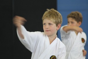 IMG 7255