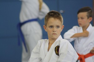 IMG 7256