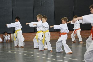 IMG 7263