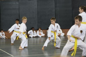 IMG 7264