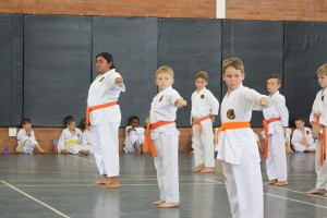 IMG 7265