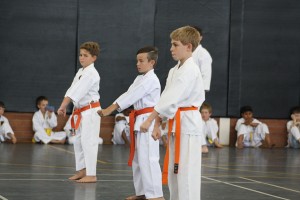 IMG 7266