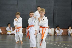 IMG 7267