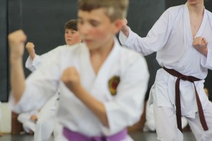 IMG 7271