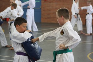 IMG 7282